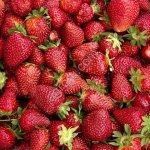 Клубника свежая с семейной фермы в Подмосковье