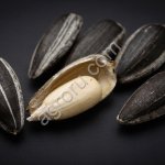 Продажа ядра подсолнечника оптом