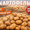 Картофель