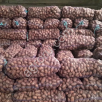 Картофель оптом 5+ от производителя