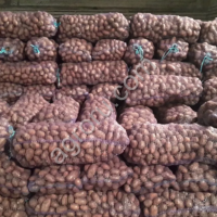 Картофель оптом 5+ от производителя