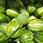 Арбузы Каристан,Арашан,Продюсер,Талисманм