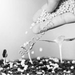 Азофоска НПК 16-16-16