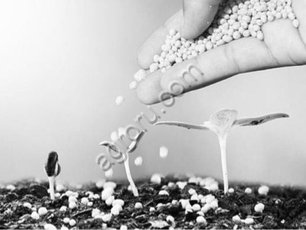 Азофоска НПК 16-16-16