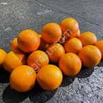 Апельсины, Валенсия