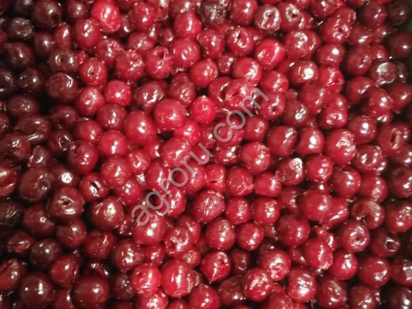 Вишня без косточек, 1 класс