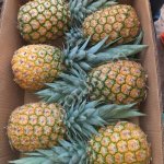 Ананас