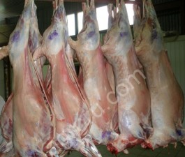 Баранина Ягнята ГОСТ Халяль