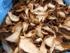 грибы белые сухие
