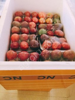 Экзотические Фрукты