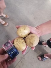 овощи