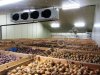Холодильное Оборудование для Овощехранилища. Агрегаты Воздухоохладители