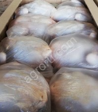 мясо птицы оптом