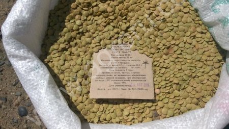 Чечевица зеленая тарелочная ГОСТ урожай 2016г