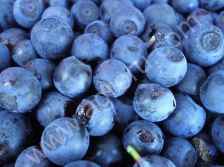 Черника замороженная