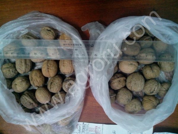 оптом орехи (ne ochish)