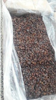 ИЗЮМ АФГАНСКИЙ ВЫСШИЙ СОРТ, АКЦИЯ