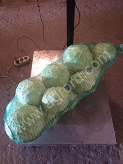 КАПУСТА БЕЛОКОЧАННАЯ (оптом)